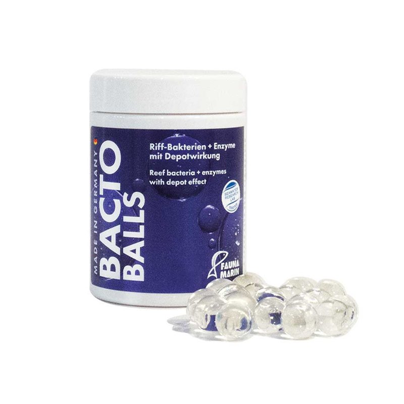 Fauna Marin Bacto Reef Balls