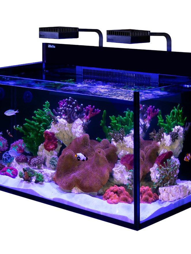 Red Sea Reef Care Recipe 4 (Fe/Bio)