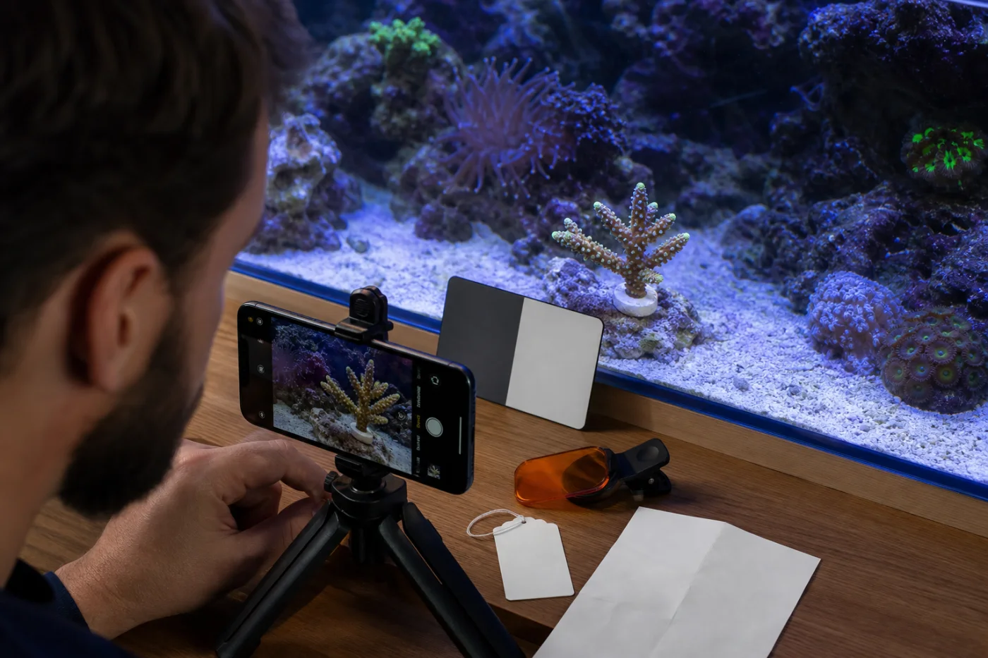 A reef keeper photographing an Acropora frag with a tripod-mounted phone, neutral gray reference card, blank frag tag, and orange reef filter nearby